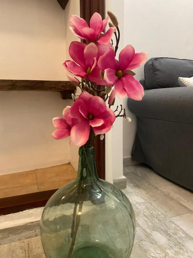 Apartamento La Pepa - Santa Cruz De La Palma サンタ・クルス・デ・ラ・パルマ スペイン エクステリア 写真